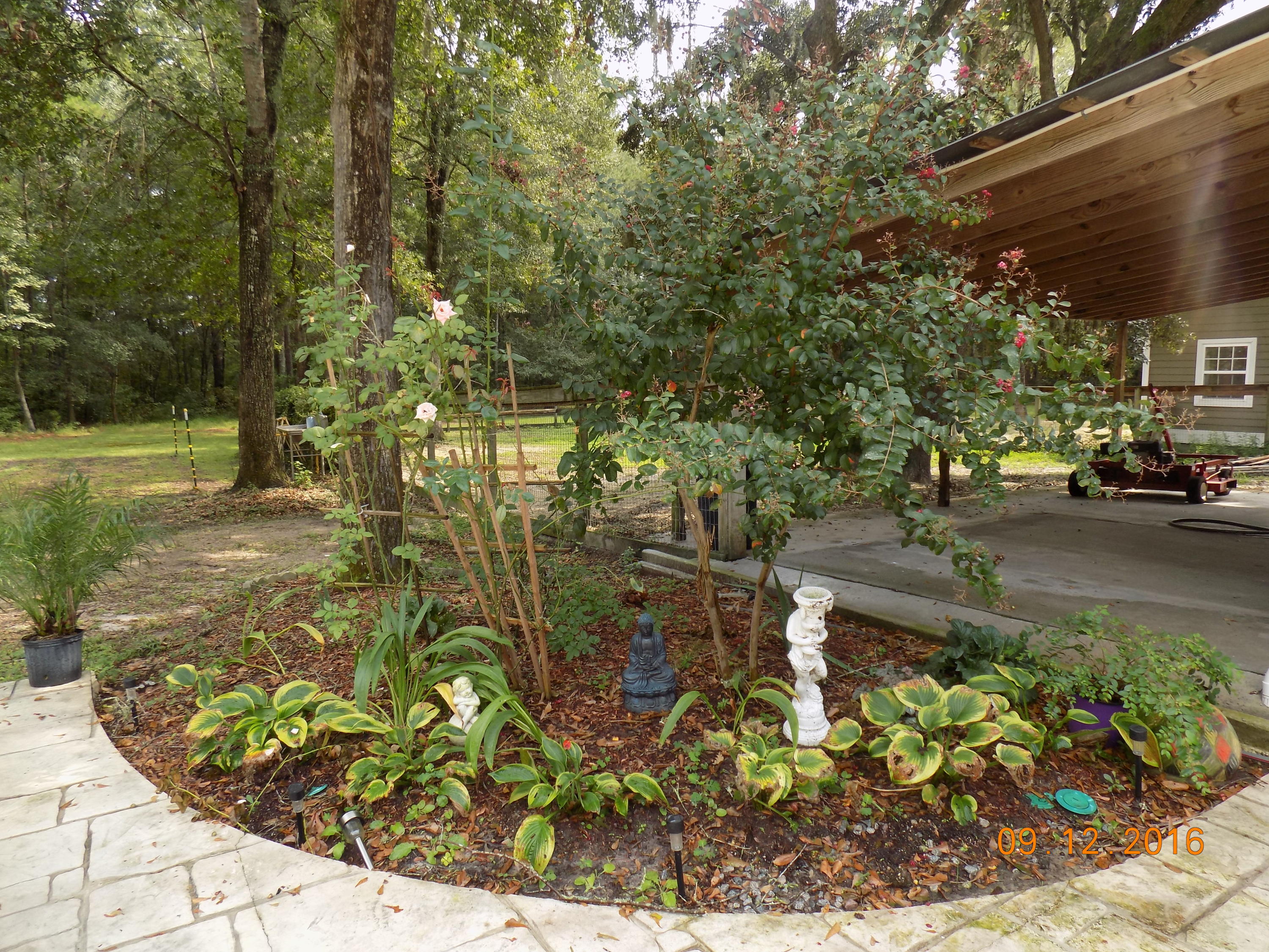 4163 Chisolm Road Johns Island, SC 29455 - Photo 21 of 33 c53