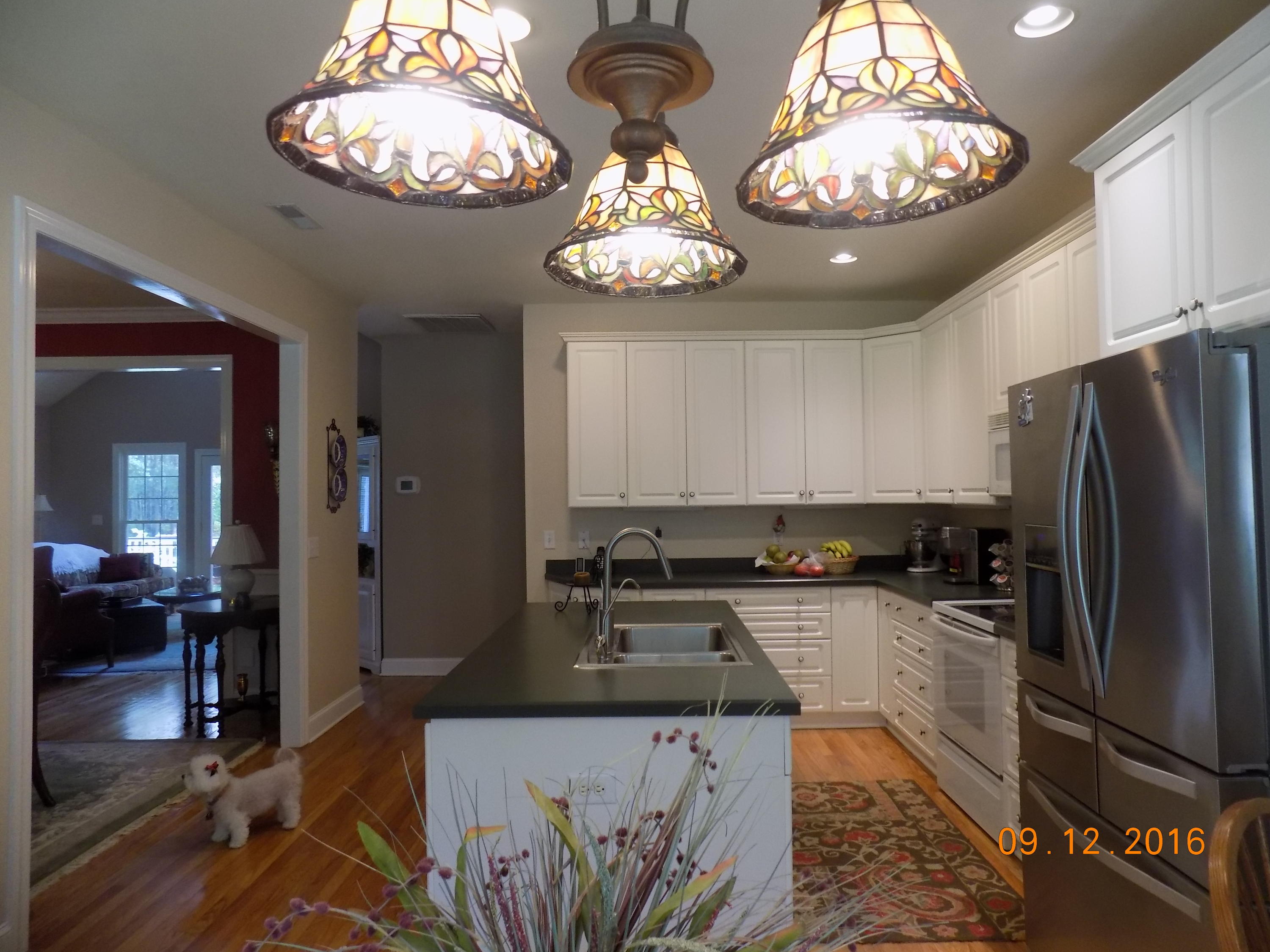 4163 Chisolm Road Johns Island, SC 29455 - Photo 6 of 33 c10 - Copy - Copy