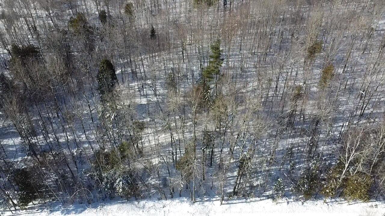 Lot 7 Curtis Farm Road Lincoln, ME 04457 - Photo 12 of 21