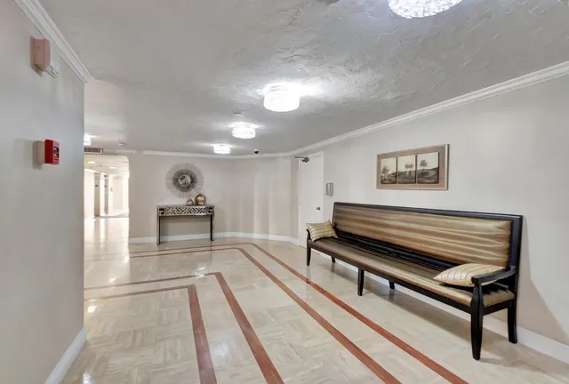 a view of a yard with a palm tree