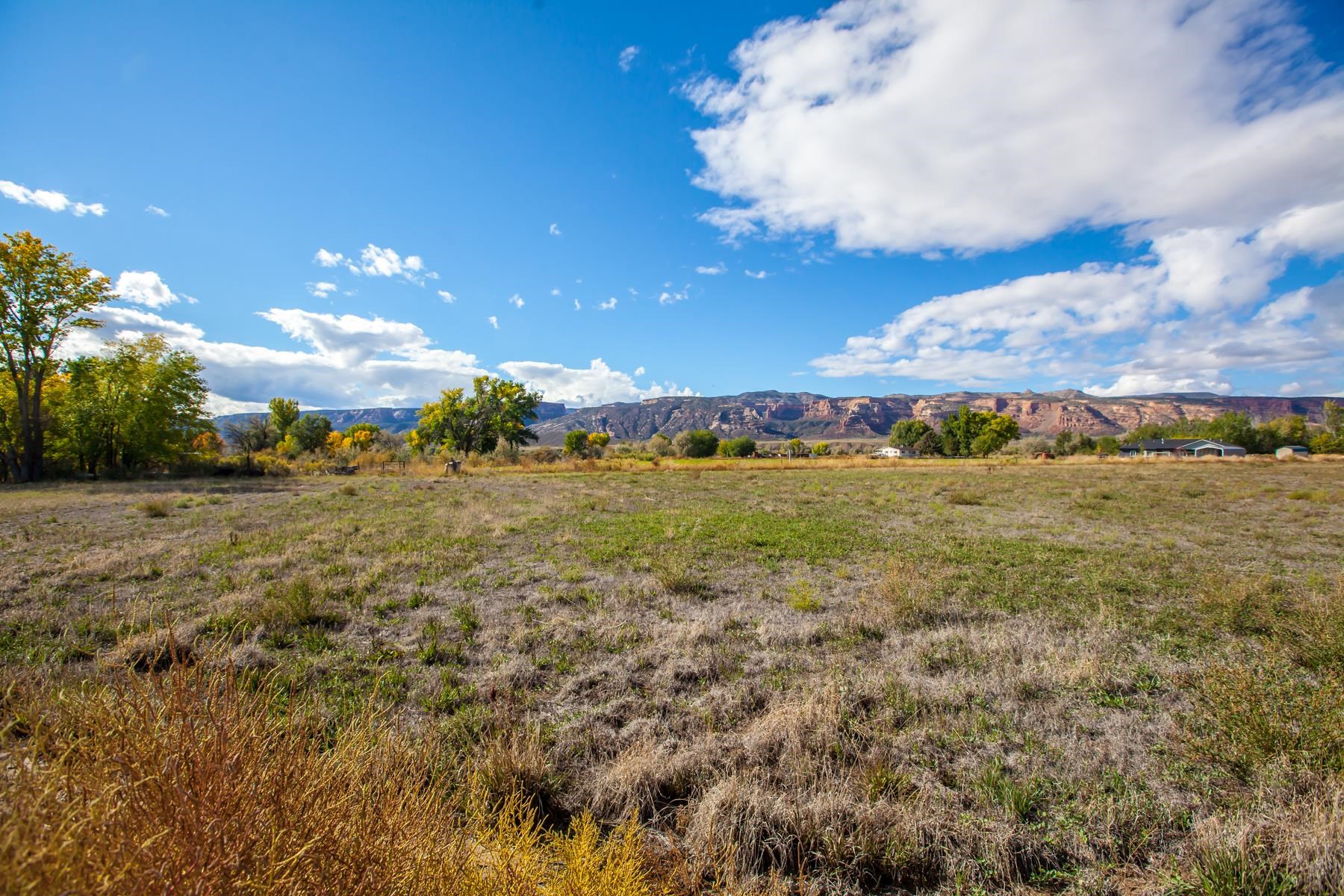 Tbd 19 Road Fruita, CO 81521 - Photo 1 of 35 a view of a field with an ocean