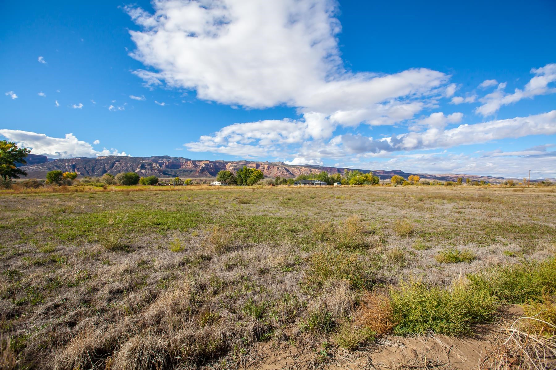 Tbd 19 Road Fruita, CO 81521 - Photo 3 of 35 a view of an ocean