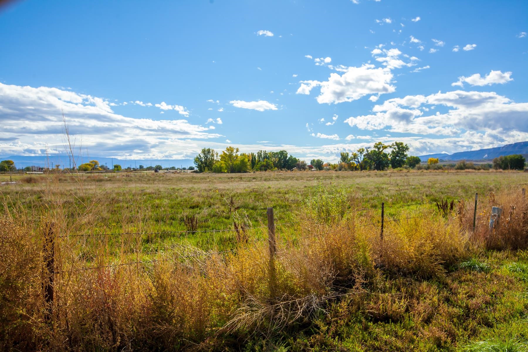 Tbd 19 Road Fruita, CO 81521 - Photo 5 of 35 a view of an ocean view