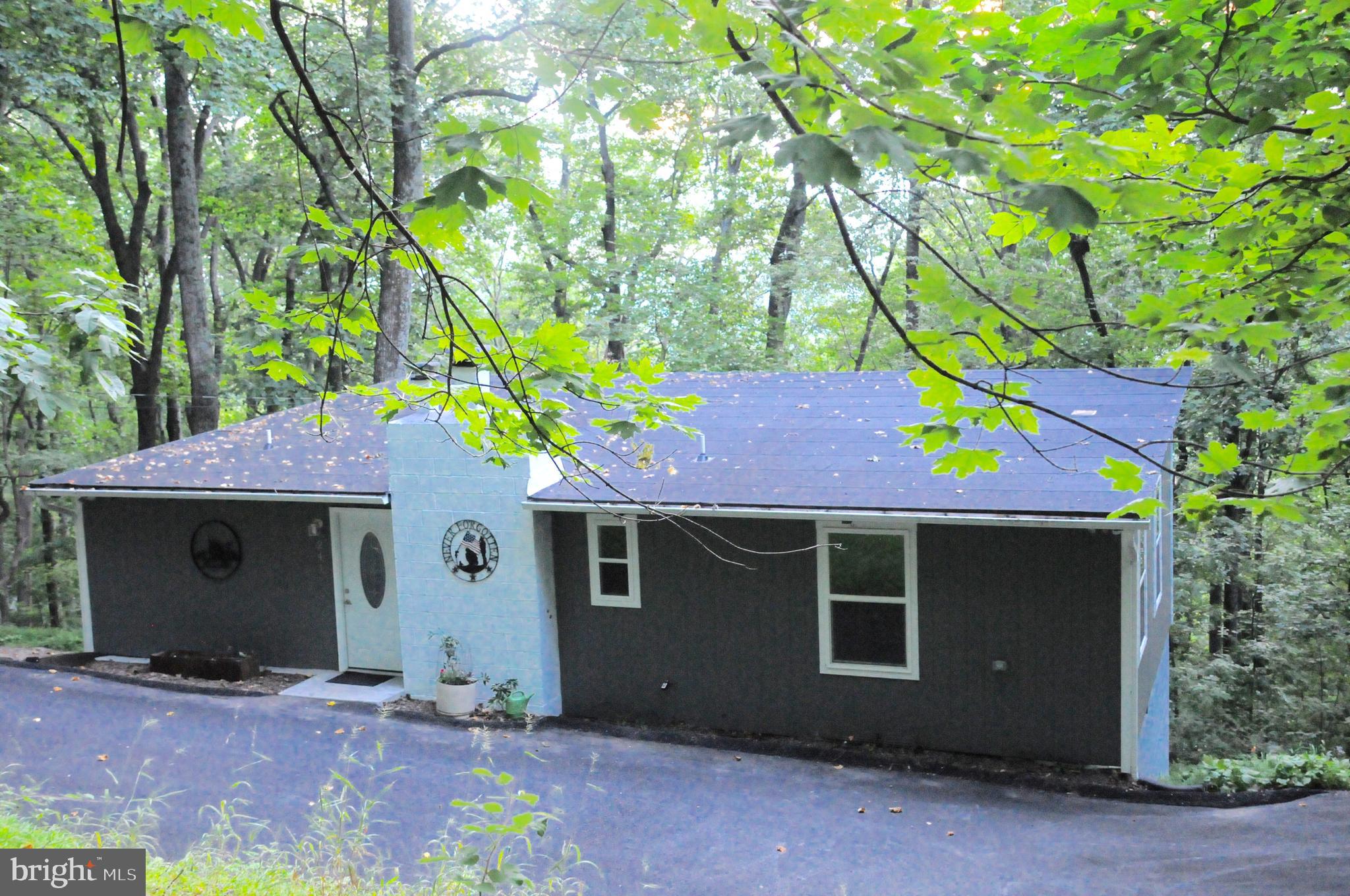 241 Bridle Path Road Front Royal, VA 22630 - Photo 1 of 38