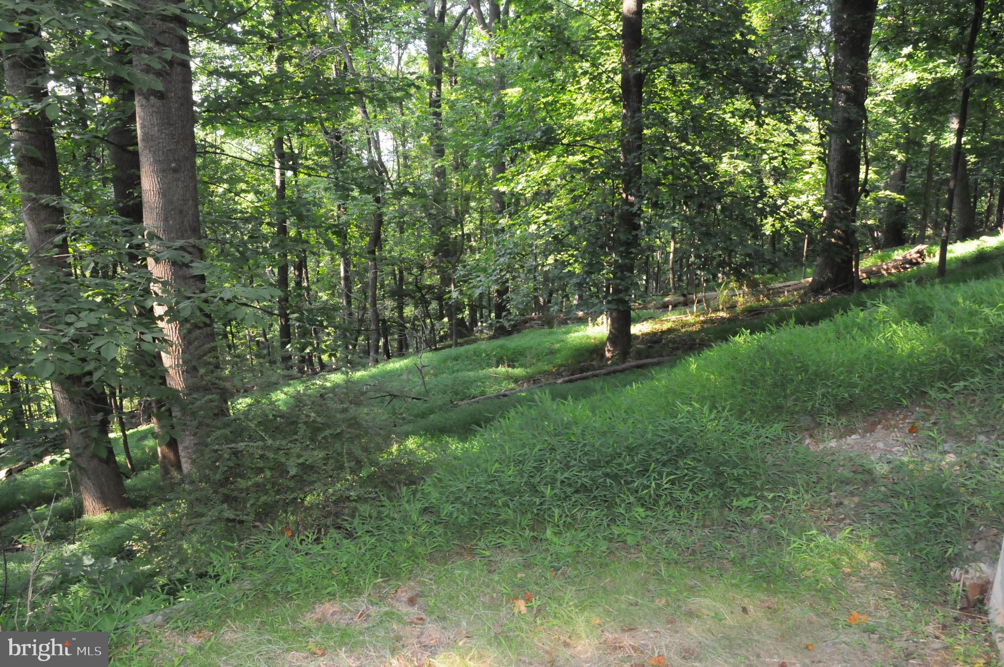 241 Bridle Path Road Front Royal, VA 22630 - Photo 33 of 38