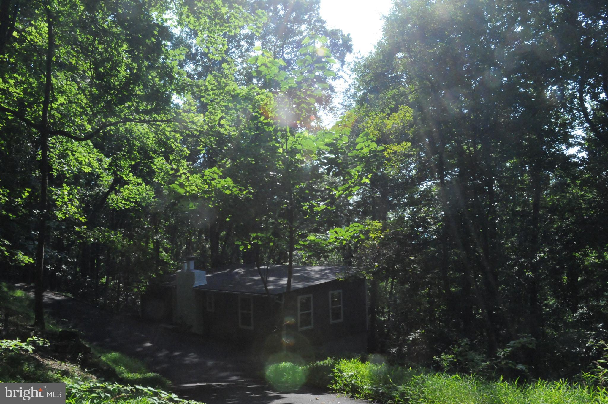 241 Bridle Path Road Front Royal, VA 22630 - Photo 35 of 38