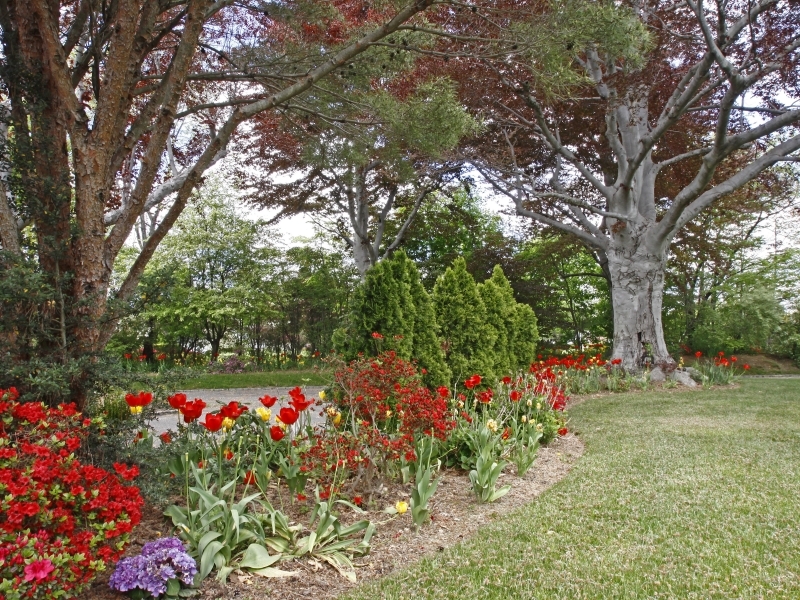 29 Middle Ridge Road New Canaan, CT 06840 - Photo 15 of 16 a small garden covered with tall trees