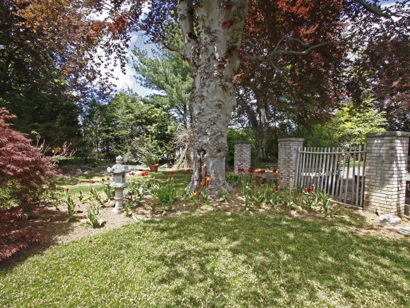 29 Middle Ridge Road New Canaan, CT 06840 - Photo 16 of 16 a view of a yard with large trees