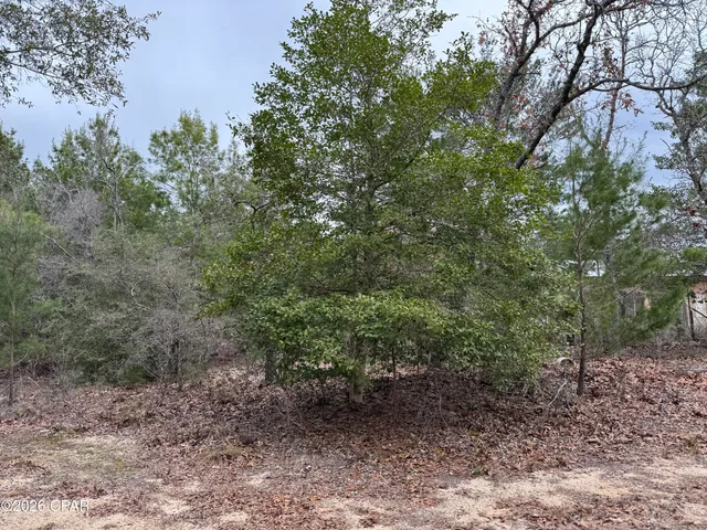 $549,900 | 3100 Bonnett Pond Road, Chipley, FL 32428