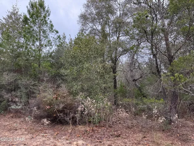 $549,900 | 3100 Bonnett Pond Road, Chipley, FL 32428