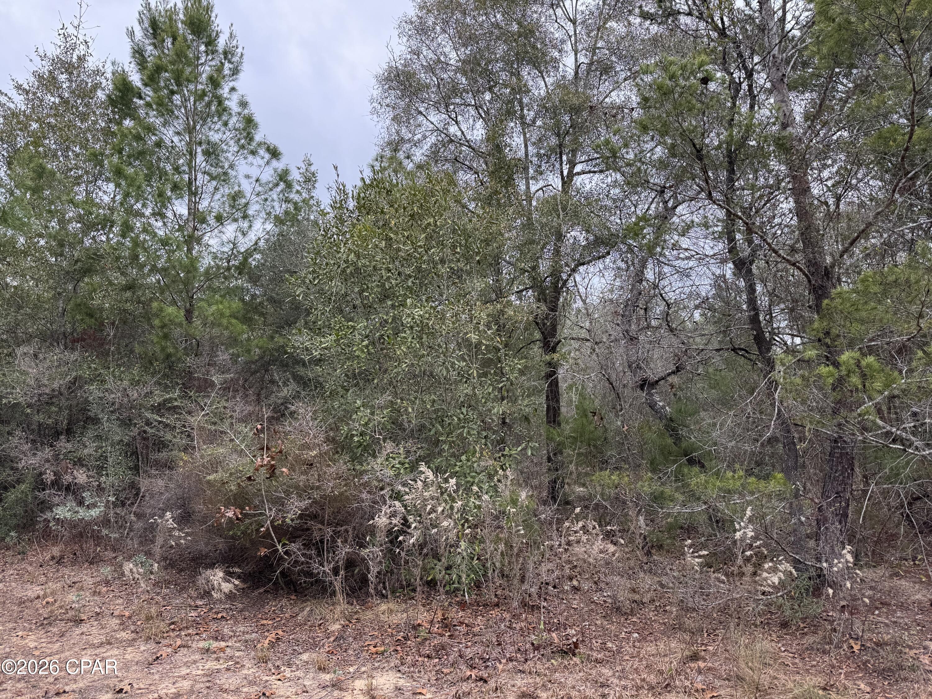 3100 Bonnett Pond Road Chipley, FL 32428 - Photo 40 of 48