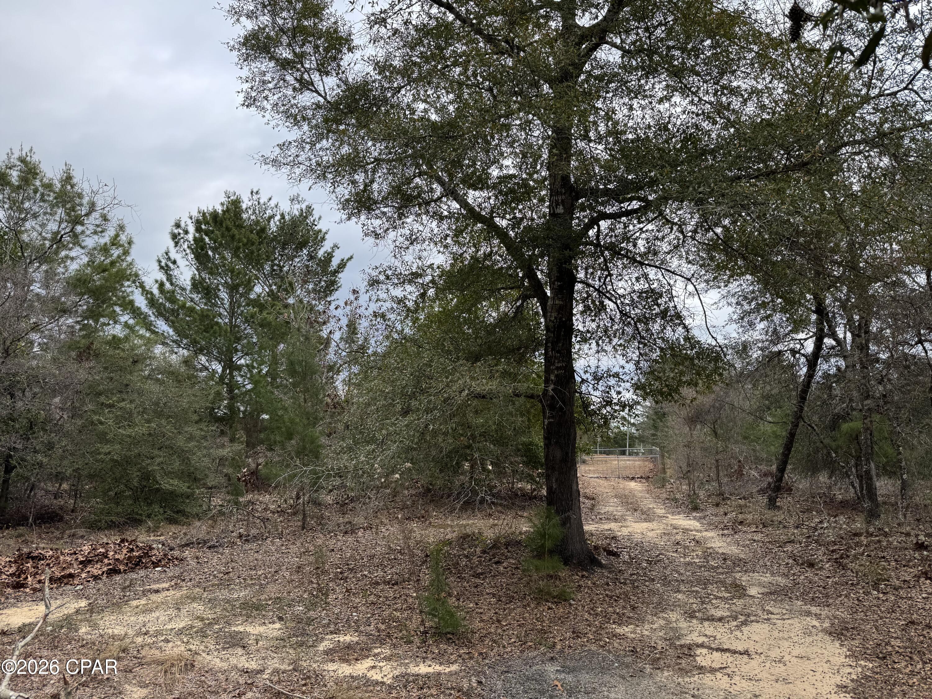 3100 Bonnett Pond Road Chipley, FL 32428 - Photo 43 of 48