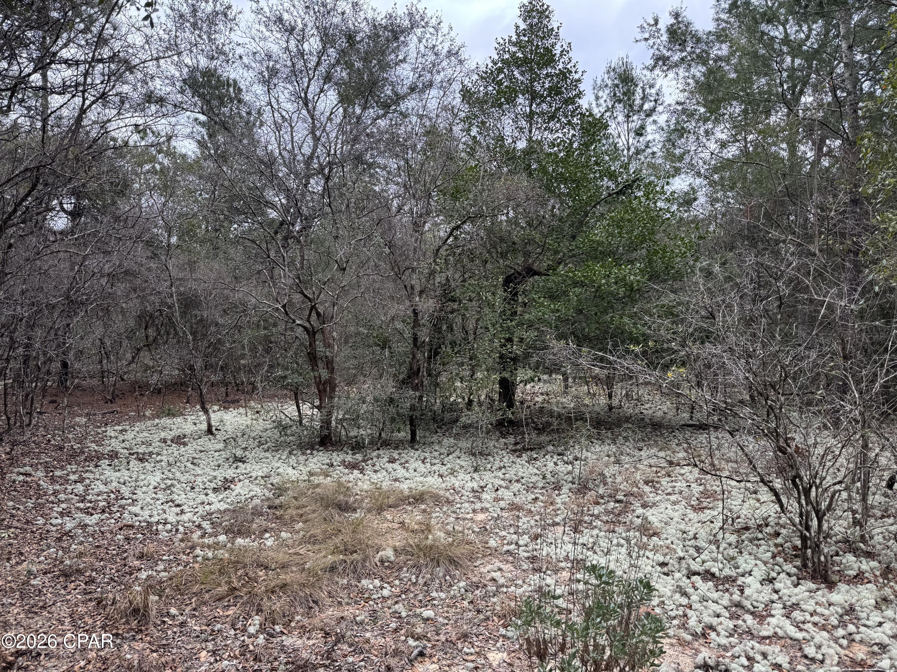 3100 Bonnett Pond Road Chipley, FL 32428 - Photo 45 of 48