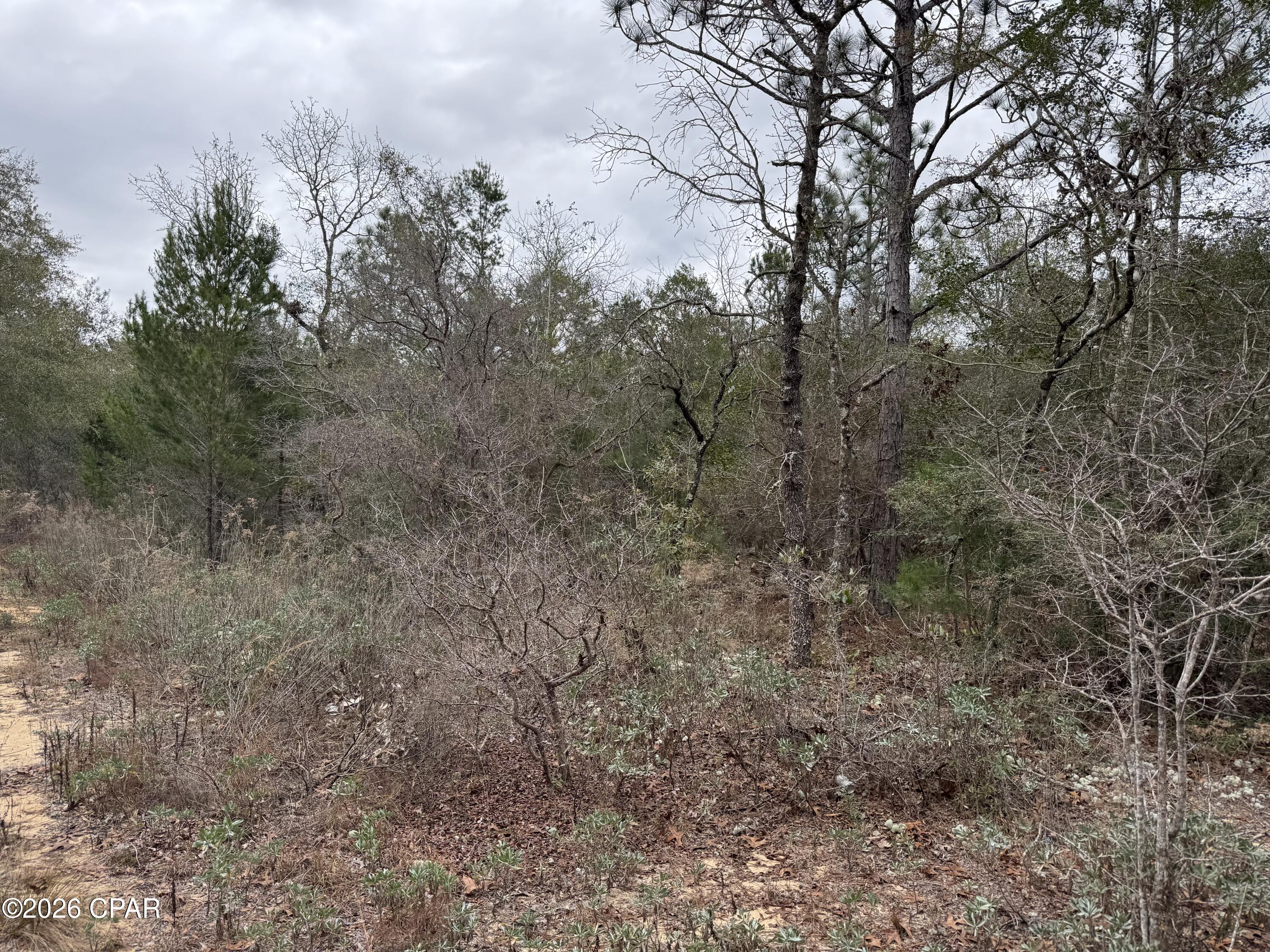 3100 Bonnett Pond Road Chipley, FL 32428 - Photo 46 of 48