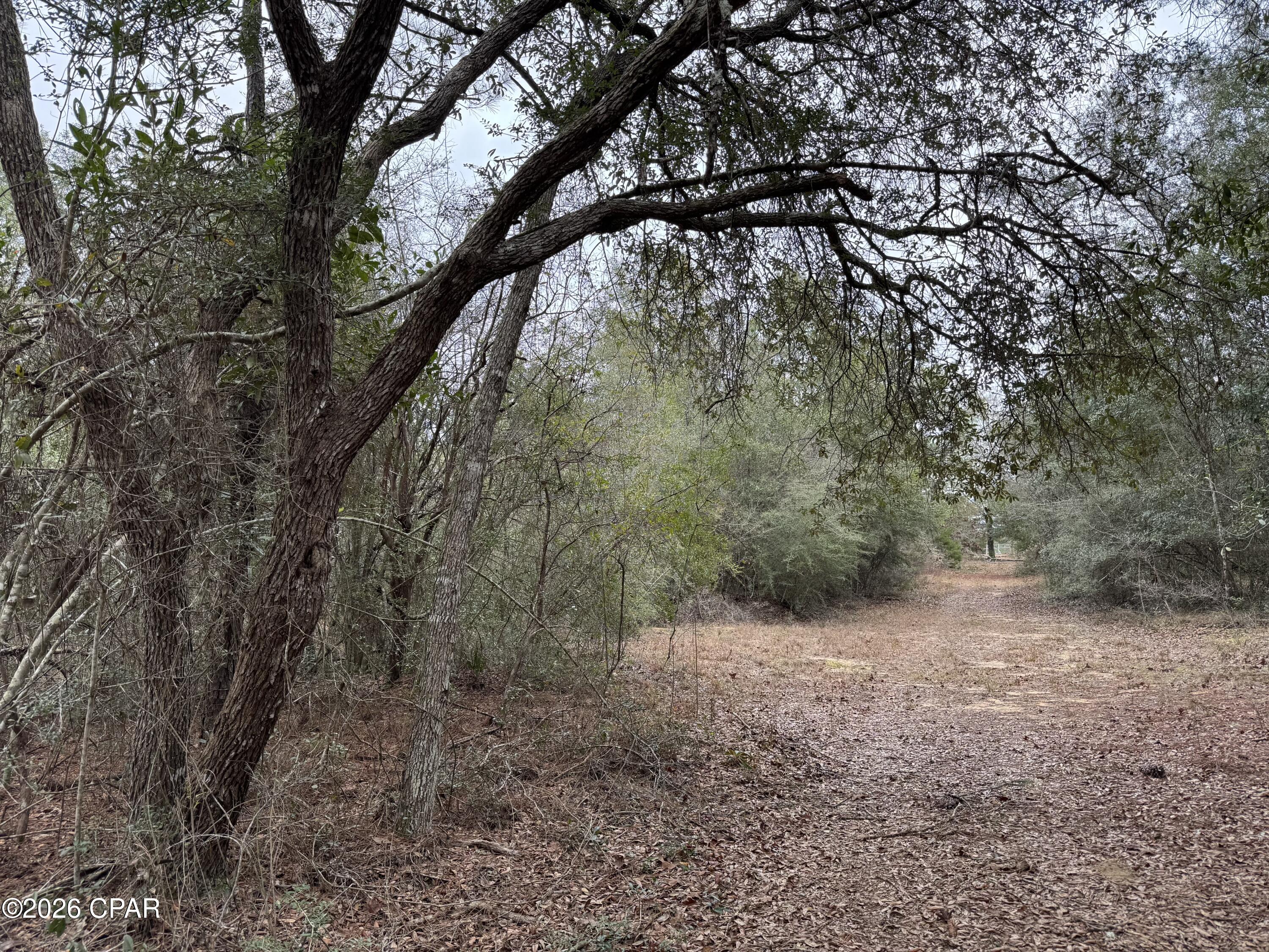 3100 Bonnett Pond Road Chipley, FL 32428 - Photo 47 of 48