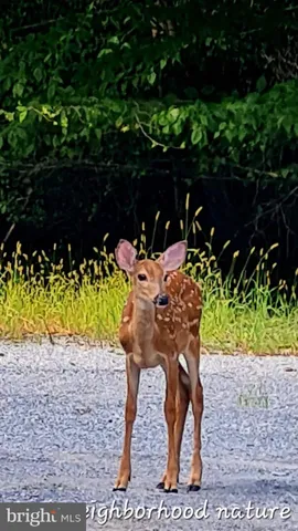 $1,450 | 308 Clubhouse Drive, Lusby, MD 20657