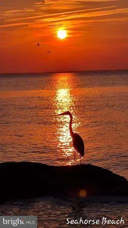 a view of an ocean