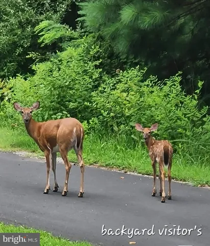 $1,450 | 308 Clubhouse Drive, Lusby, MD 20657