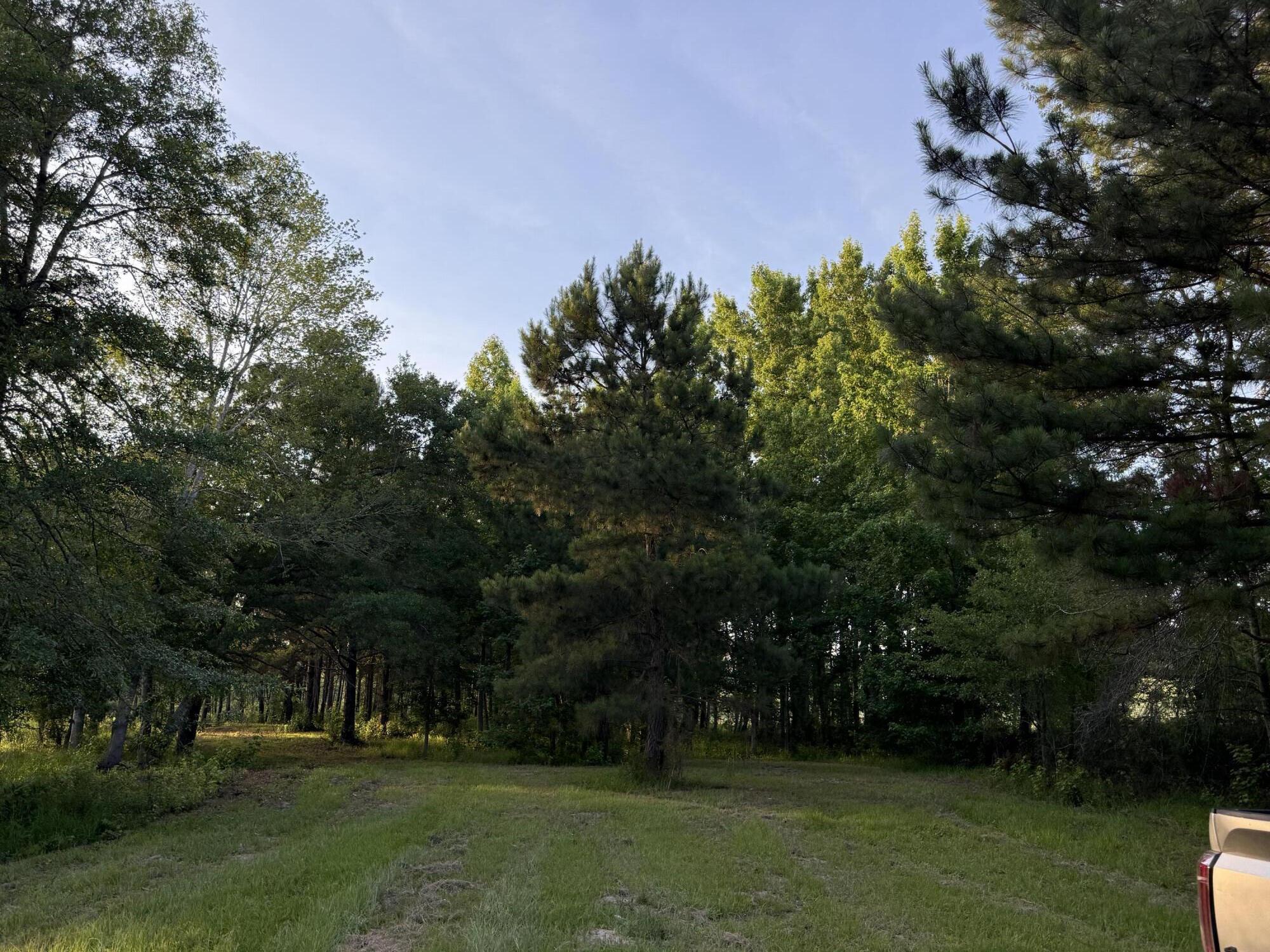 Lot 12 Reeves Street Aiken, SC 29805 - Photo 3 of 22