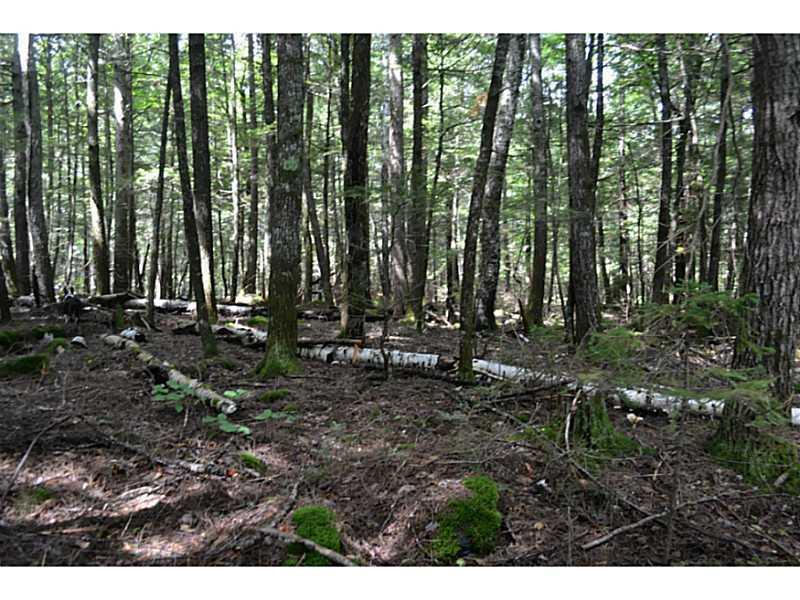Lot 46 Seymour Cove Road Dover-Foxcroft, ME 04426 - Photo 6 of 7 Exterior Front.