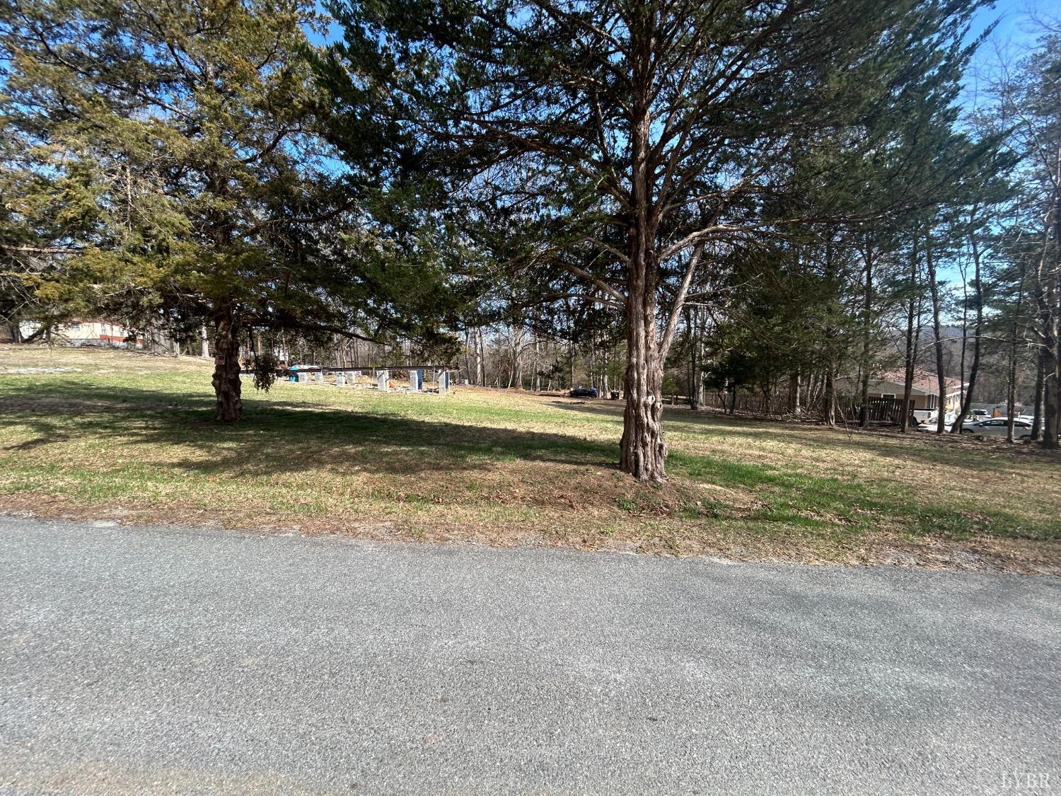 119 Candlemakers Lane Rustburg, VA 24588 - Photo 2 of 2 a view of a tree with a yard