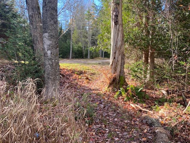 113 Pond Road Gouldsboro, ME 04607 - Photo 6 of 17 IMG_2351