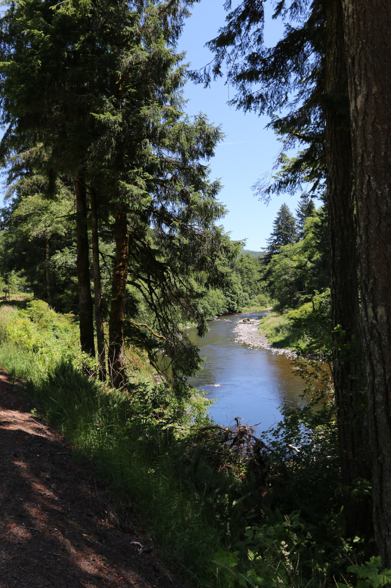 Vl Vl Trask River Road Tillamook, OR 97141 - Photo 6 of 10 IMG_0955