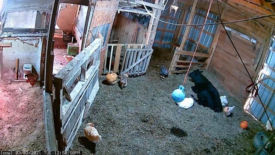 5134 Sackett Road Kane, PA 16735 - Photo 19 of 20