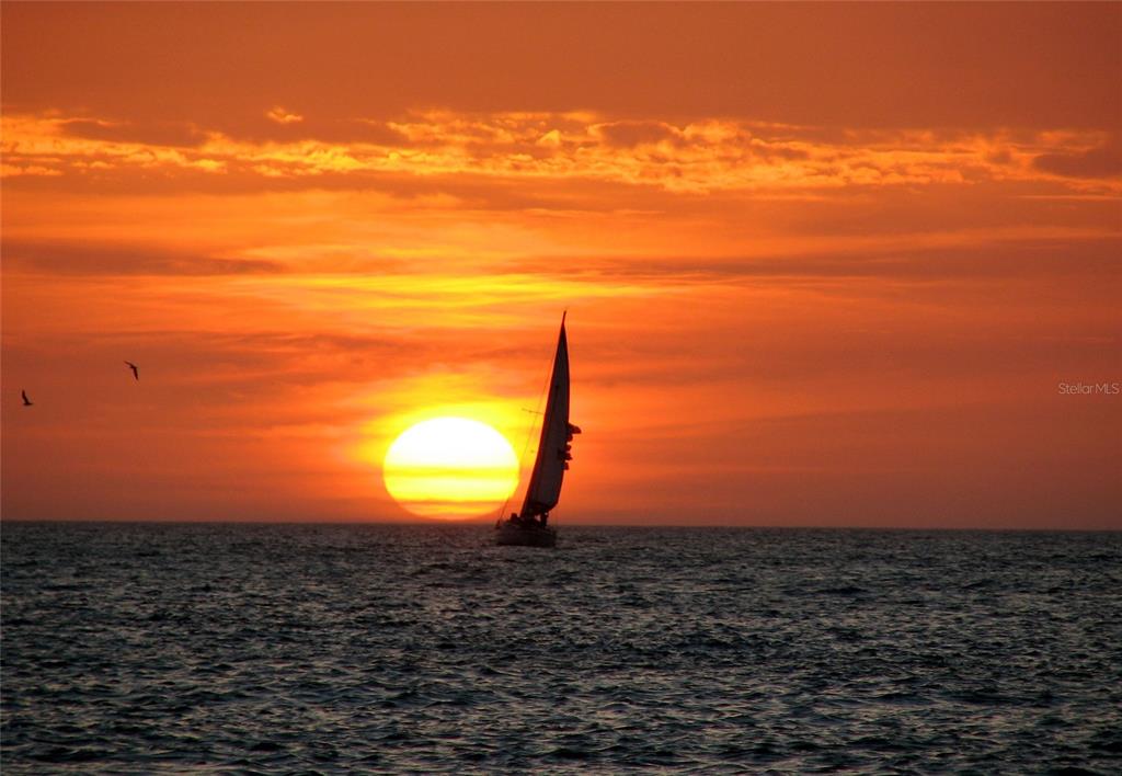 60 Gulf Boulevard, Unit 201 Indian Rocks Beach, FL 33785 - Photo 40 of 57