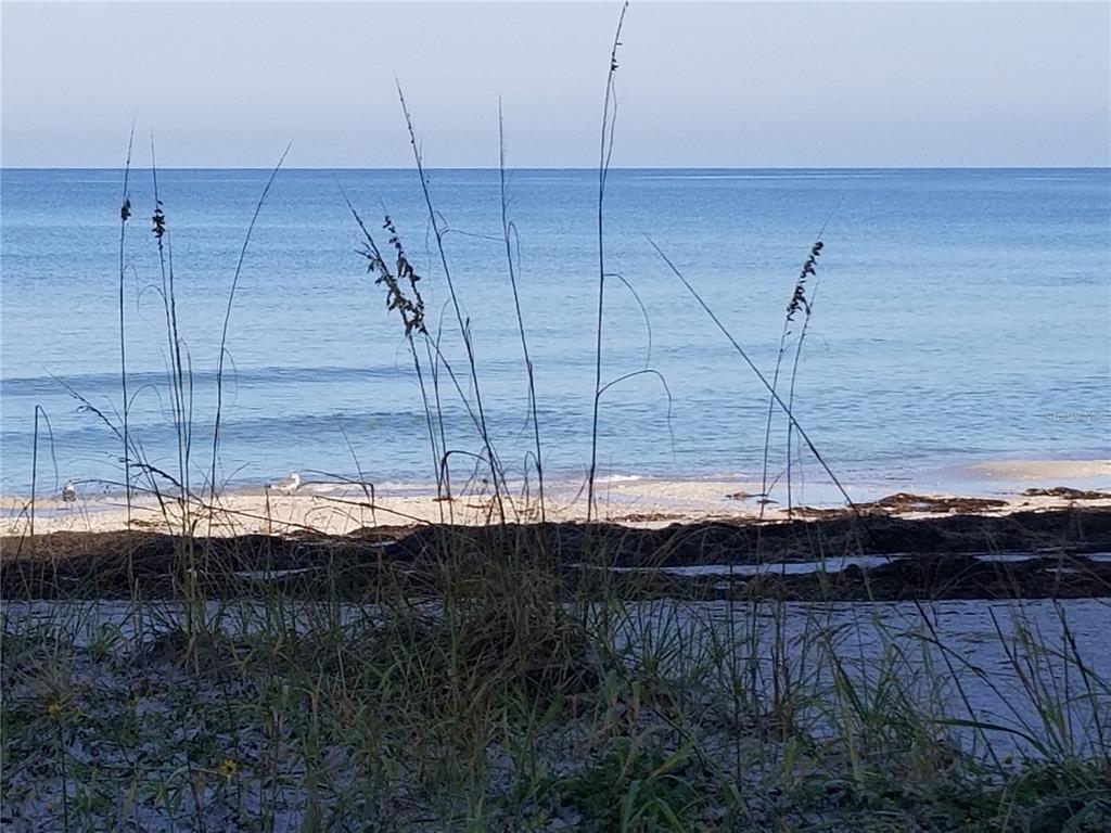 60 Gulf Boulevard, Unit 201 Indian Rocks Beach, FL 33785 - Photo 5 of 57