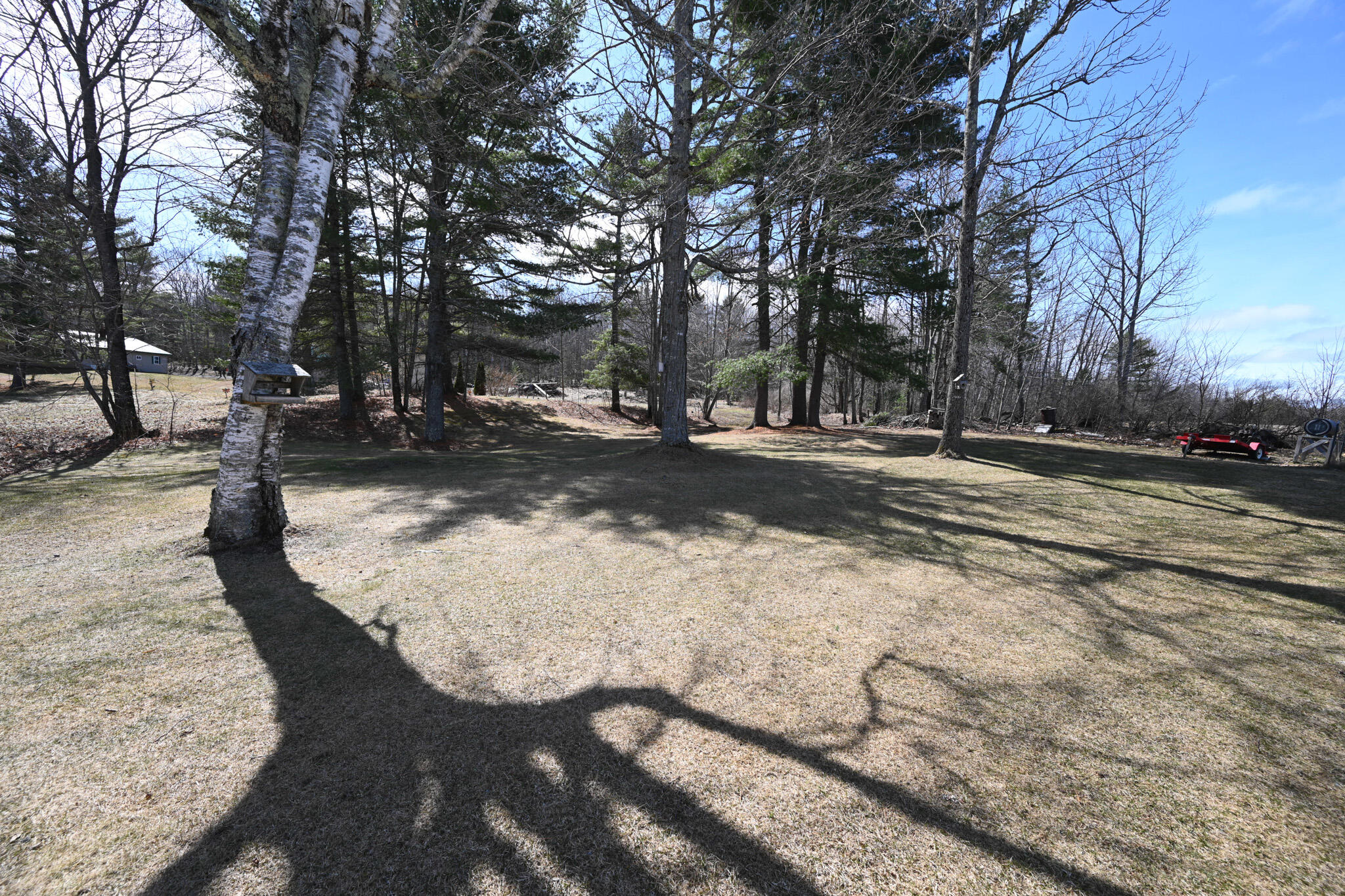 223 N Road Dixmont, ME 04932 - Photo 24 of 24 Back Yard