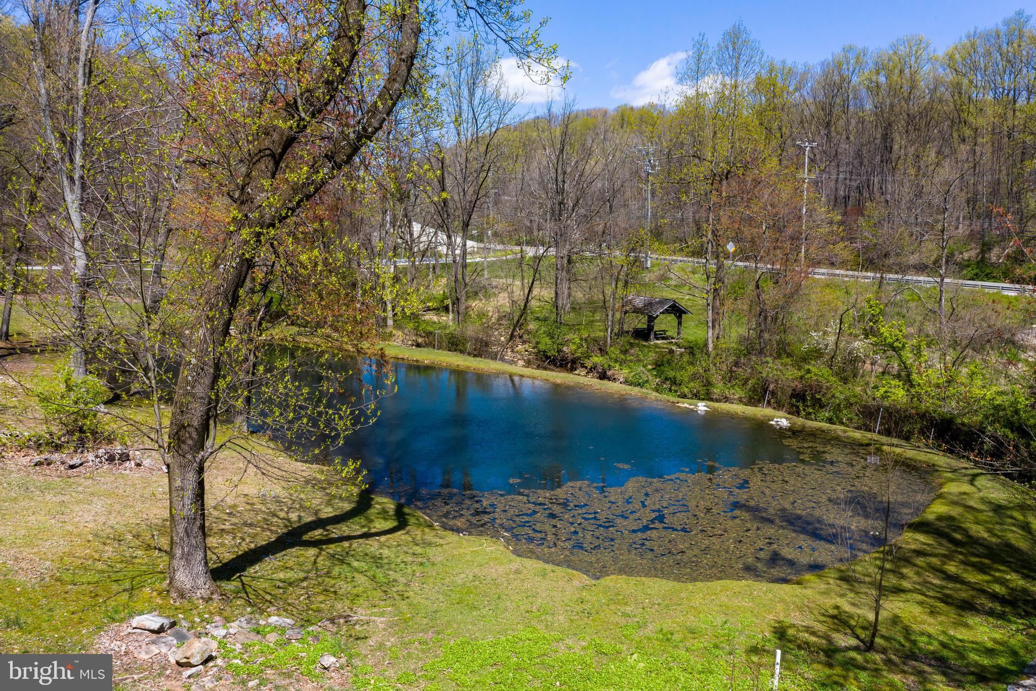 108 Township Line Road Exton, PA 19341 - Photo 44 of 60 Pond on the Property