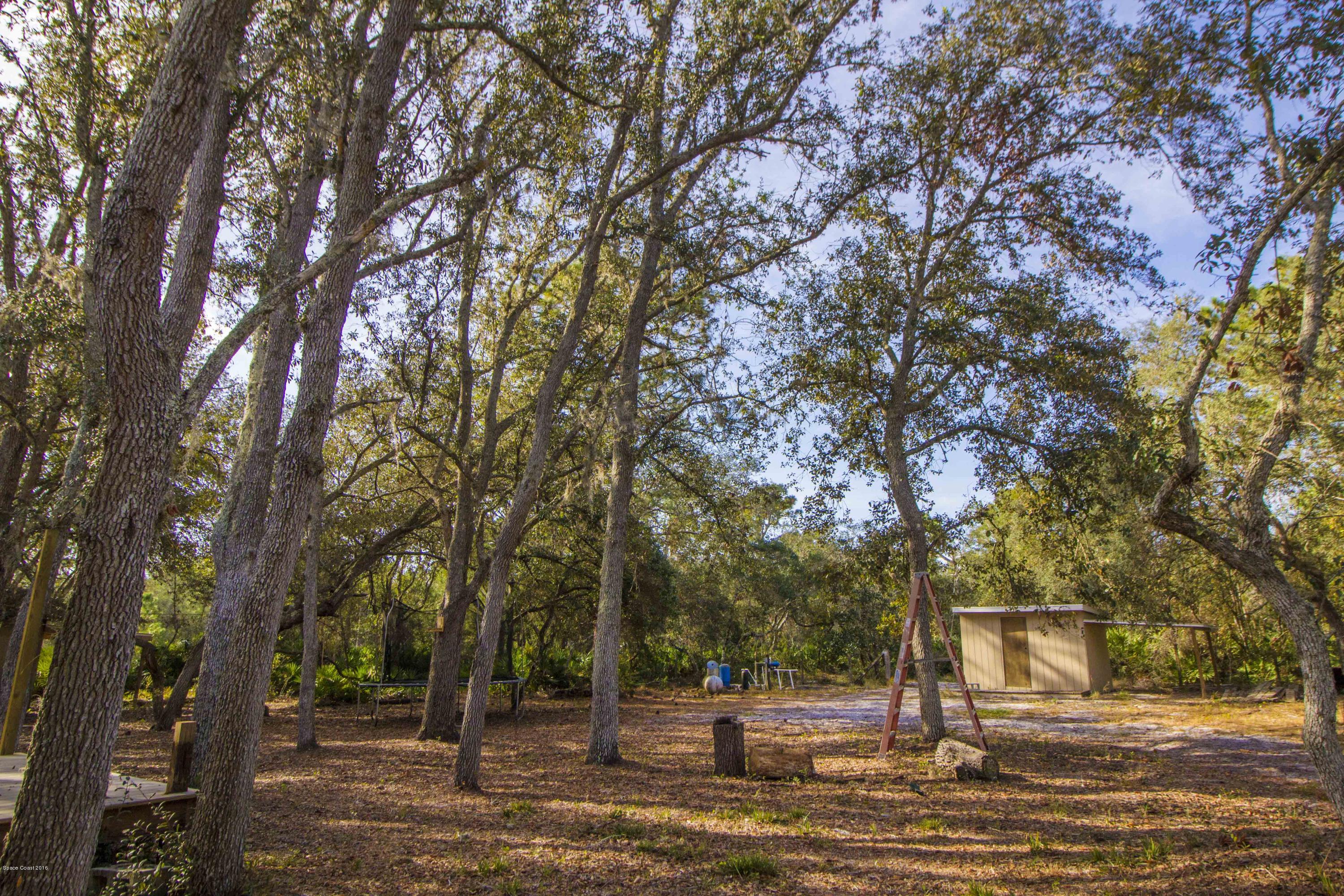 4280 Hog Valley Road Mims, FL 32754 - Photo 22 of 26 IMG_4166