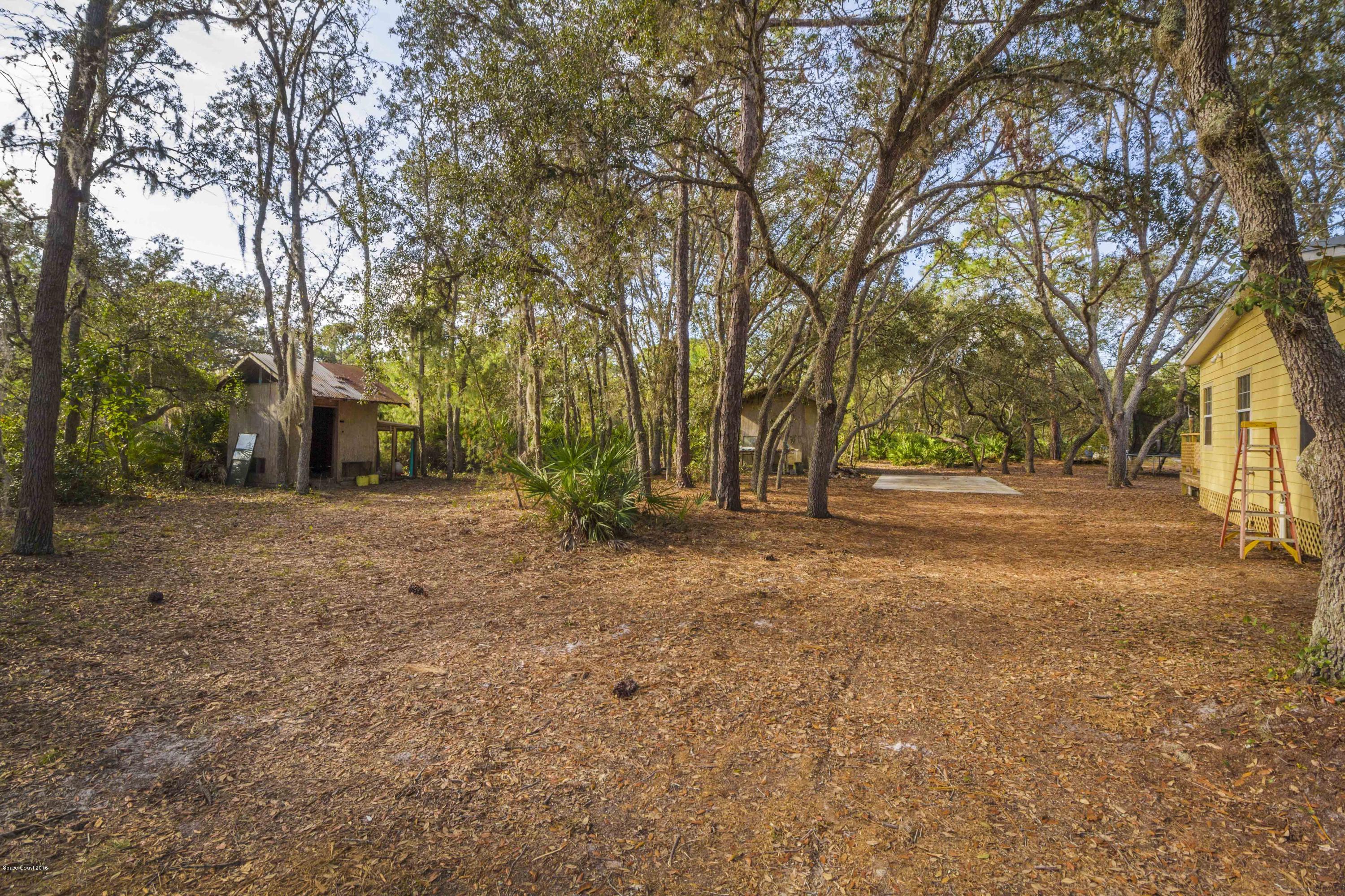 4280 Hog Valley Road Mims, FL 32754 - Photo 24 of 26 IMG_4168