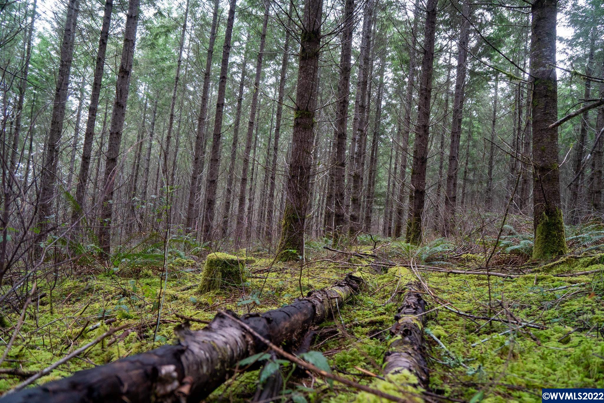 Na Green Peak Road Monroe, OR 97456 - Photo 10 of 26 Gallery Image 10