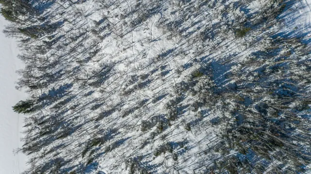 $109,000 | Tbd Moose Creek Trail, Ely, MN 55731