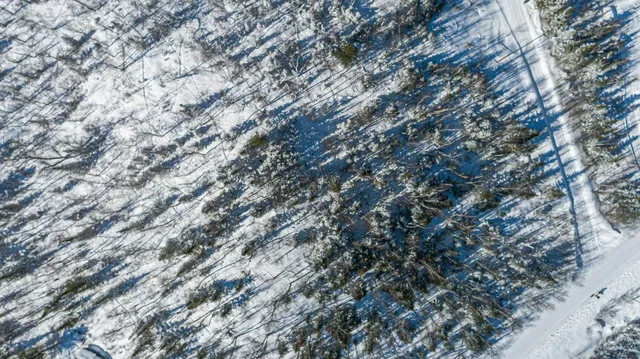 $109,000 | Tbd Moose Creek Trail, Ely, MN 55731