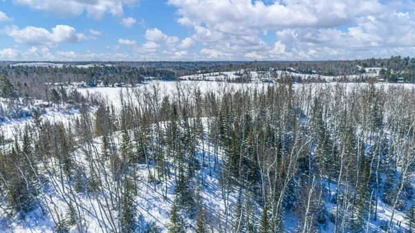 $109,000 | Tbd Moose Creek Trail, Ely, MN 55731