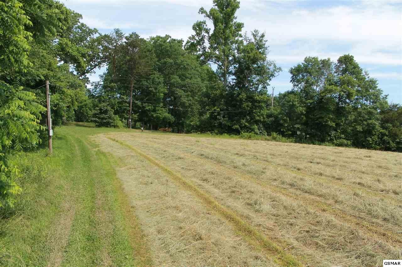 0 Jr Cox Road Lancing, TN 37770 - Photo 4 of 35 Gallery Image 4