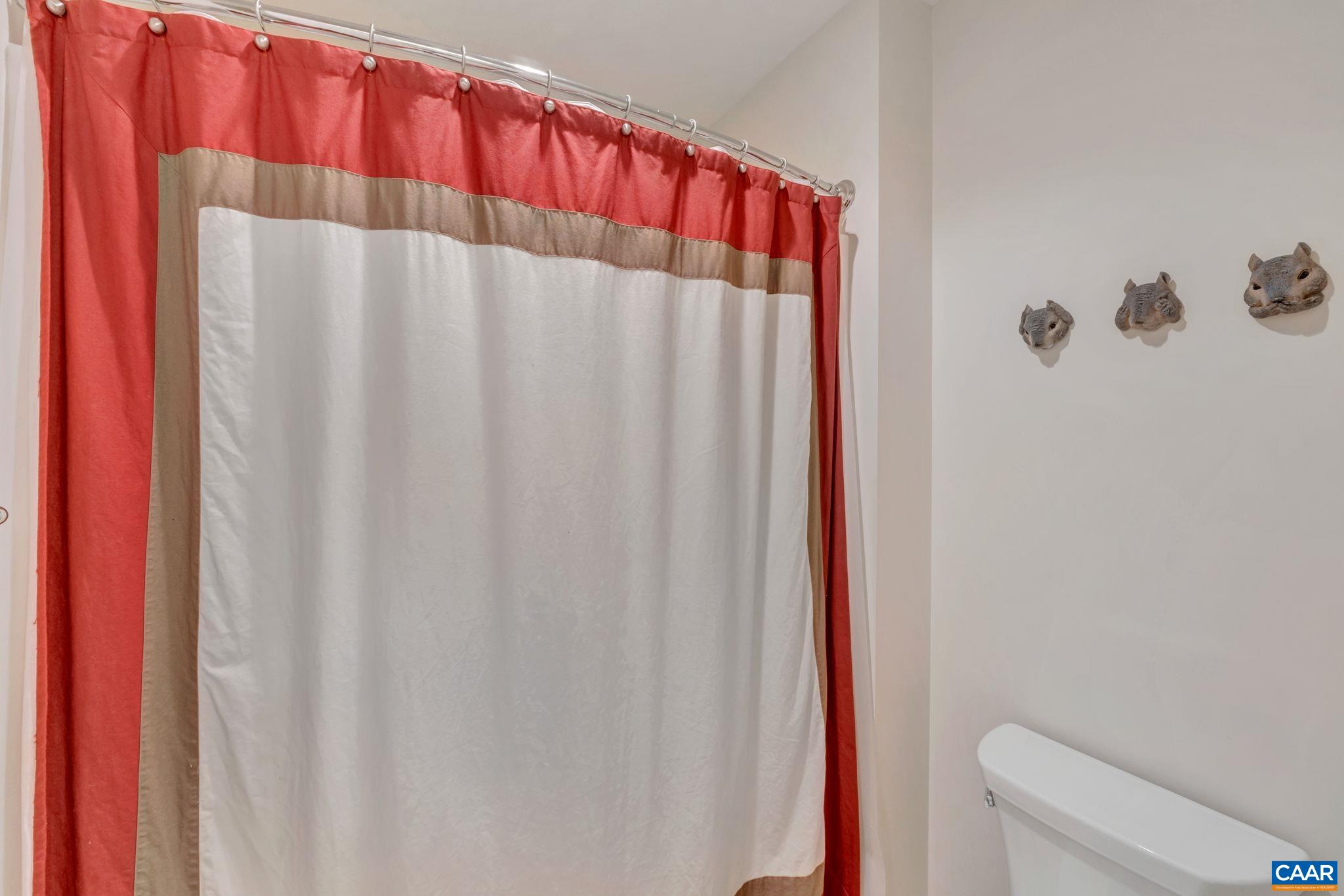 2586 Proffit Road Charlottesville, VA 22911 - Photo 45 of 74 Gallery Image 45
