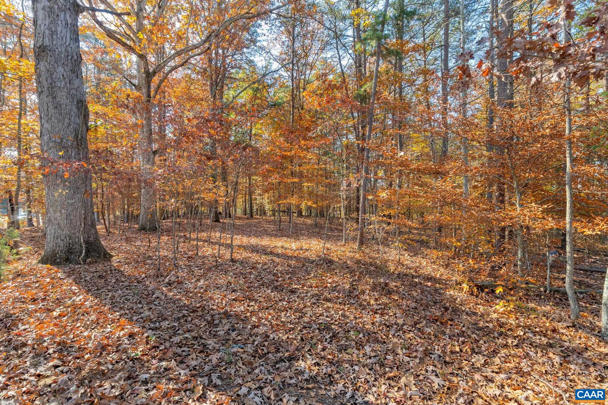 2586 Proffit Road Charlottesville, VA 22911 - Photo 72 of 74 Gallery Image 72