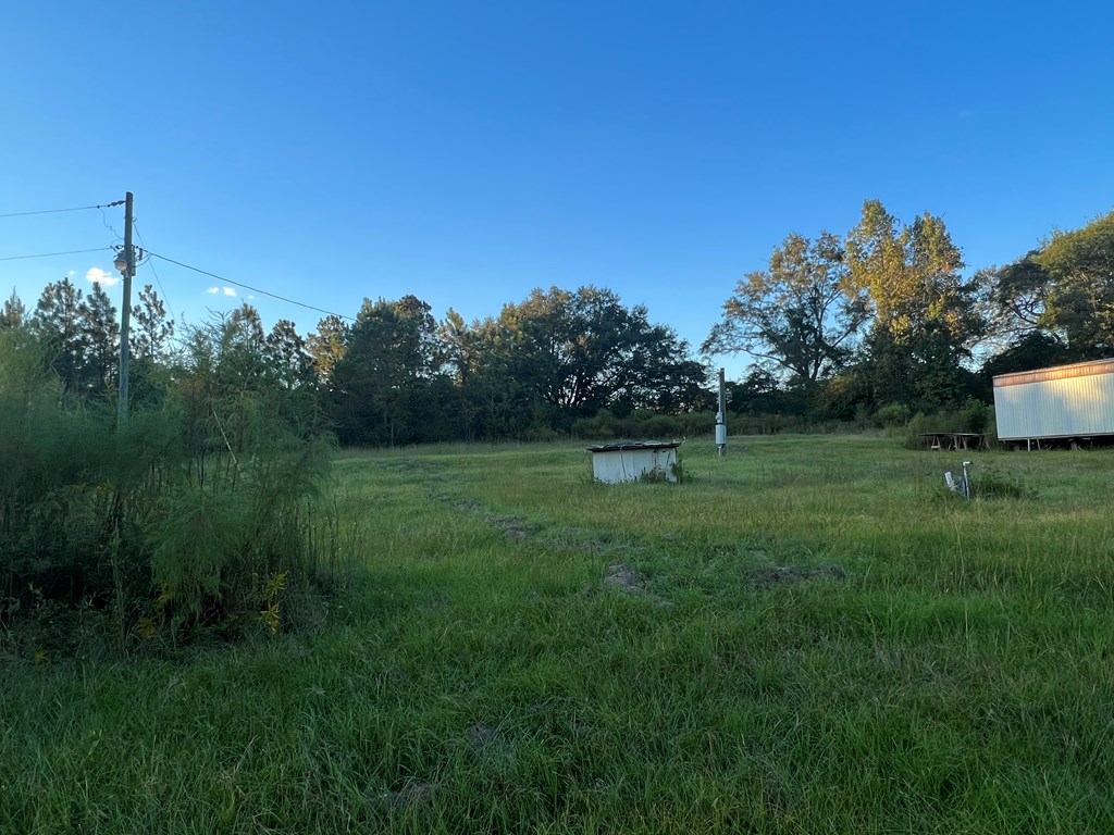 4151 Cotton Box Road Slocomb, AL 36375 - Photo 14 of 17