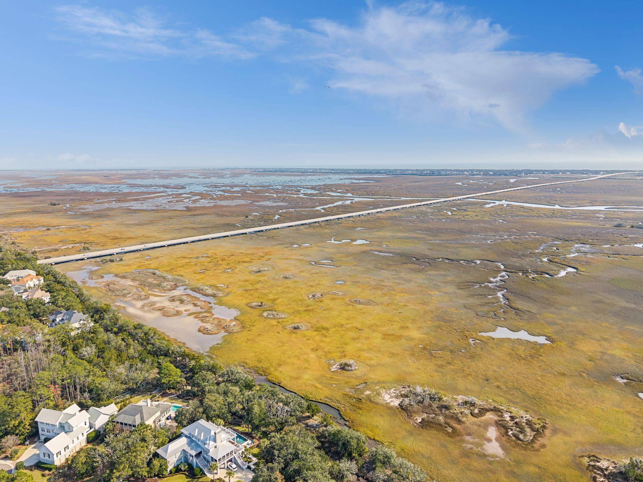 2413 Majestic Roses Court Mount Pleasant, SC 29464 - Photo 77 of 83 Aerial View