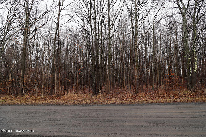 0 Travis Road Preston Hollow, NY 12469 - Photo 1 of 4 2