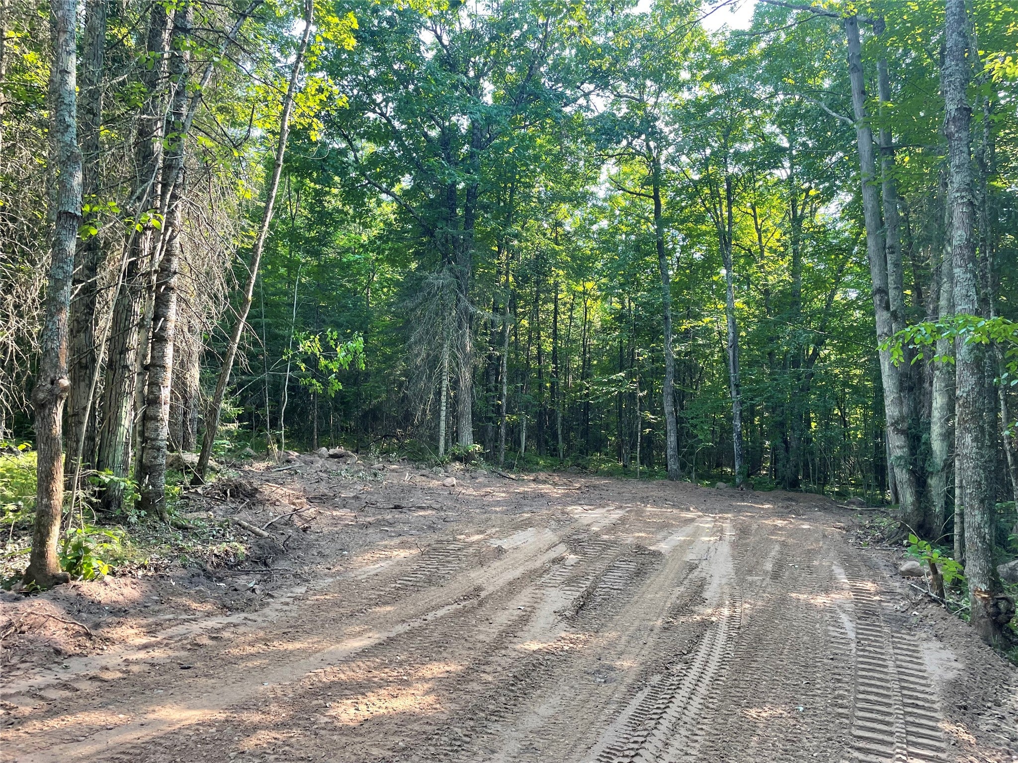 Lot 4 Uncle Toms Road Winter, WI 54896 - Photo 7 of 19 Gallery Image 7