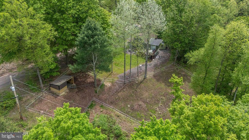 2025 Whiskey Run Road Muncy Valley, PA 17758 - Photo 51 of 54 Serene woodland retreat awaits you.