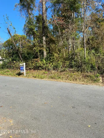 a view of yard with green space