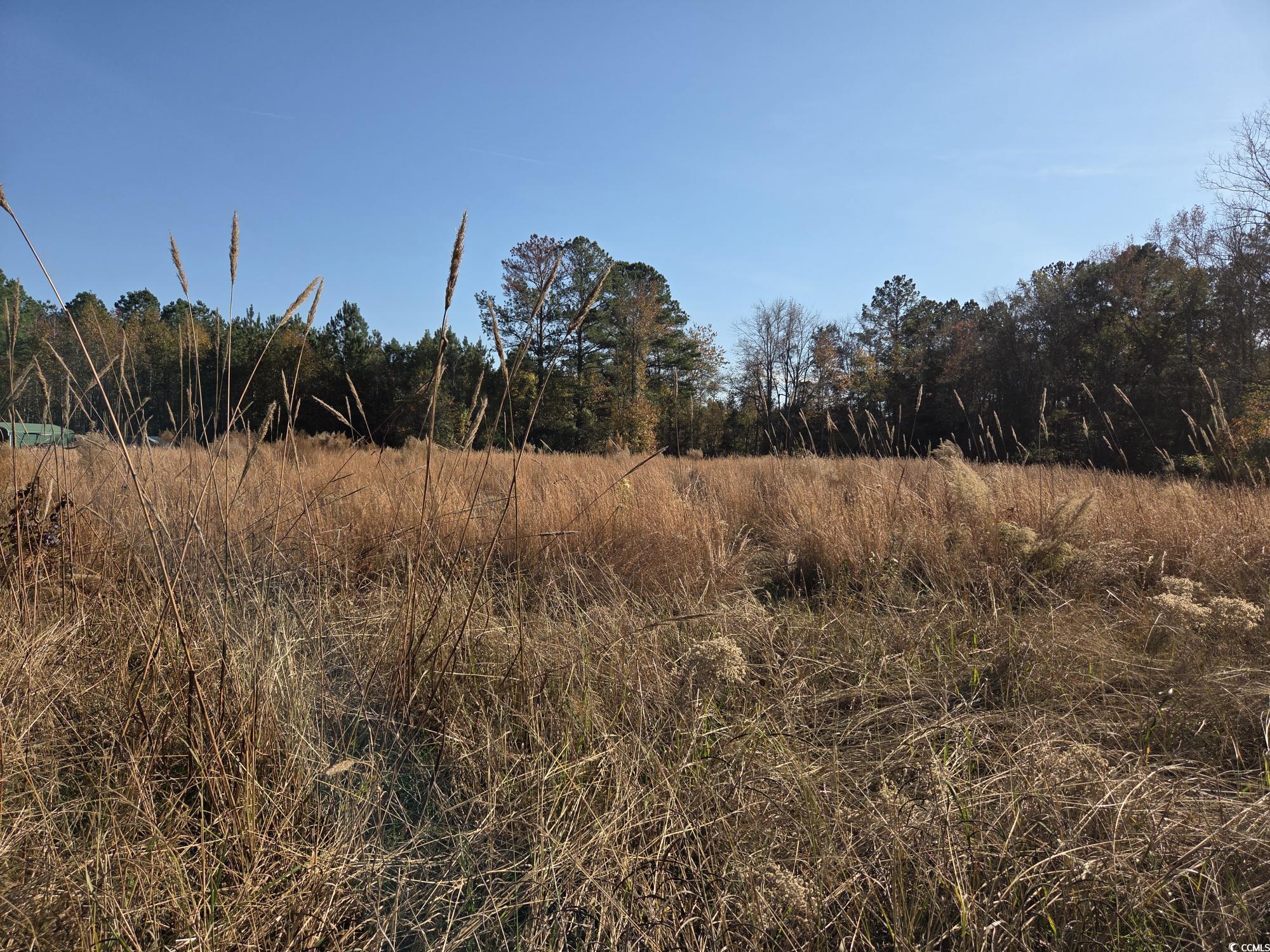 Tbd Tbd Dawhoo Lake Road Georgetown, SC 29440 - Photo 2 of 2 View of wooded area featuring a view of countryside