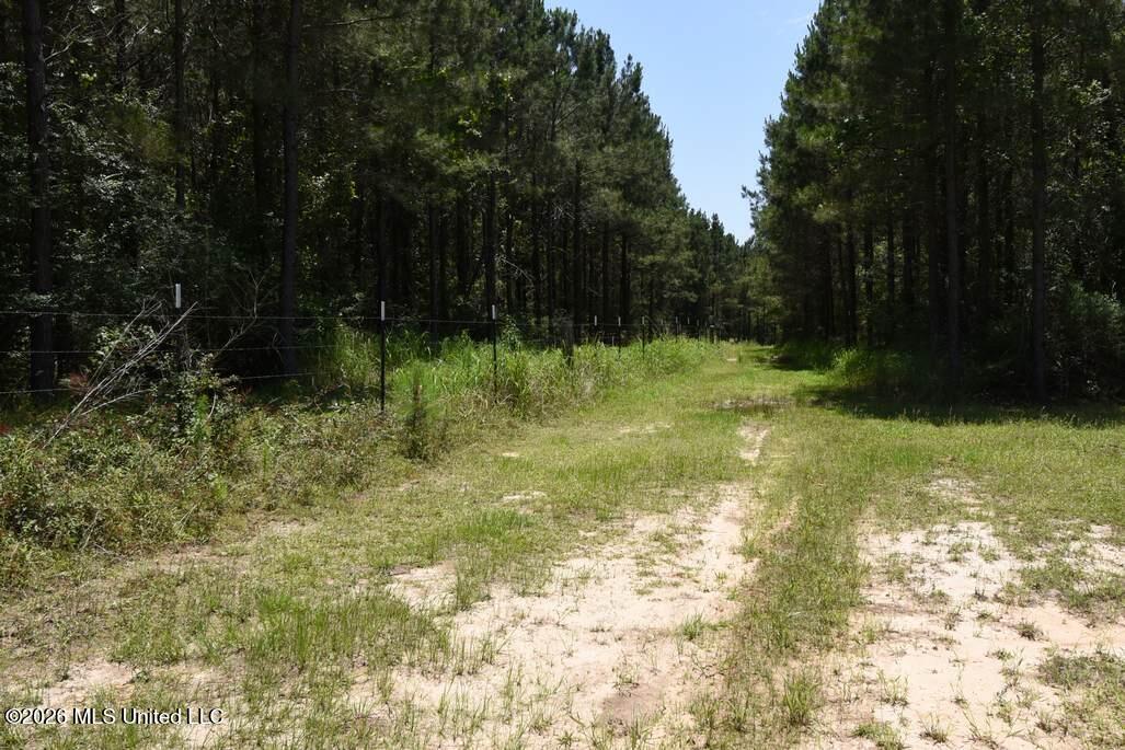 0 Miller Road Olive Branch, MS 38654 - Photo 11 of 26 5-15-2025-7-19-24-AM
