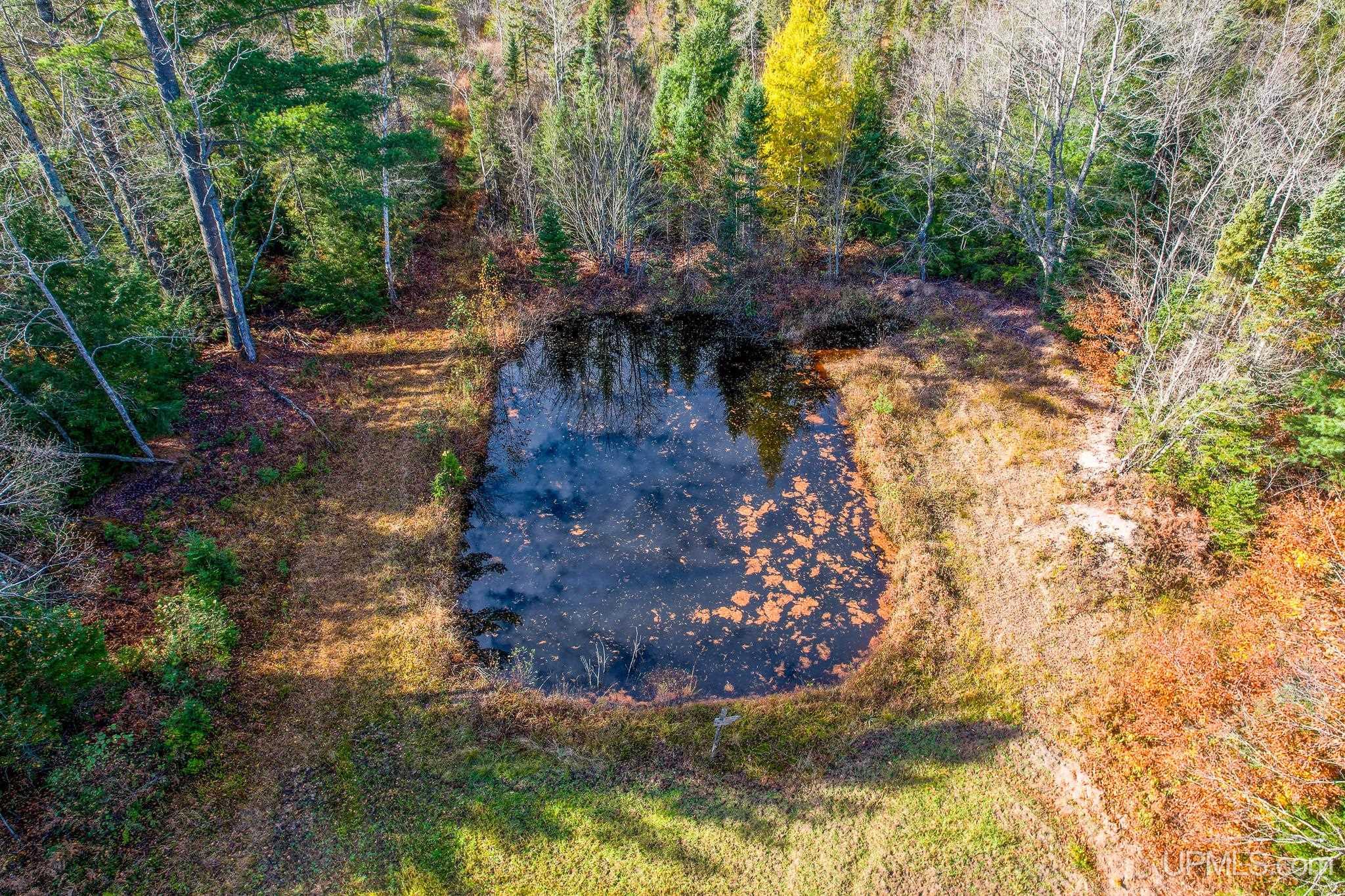 240-acres Long Lake Road Wetmore, MI 49895 - Photo 26 of 39